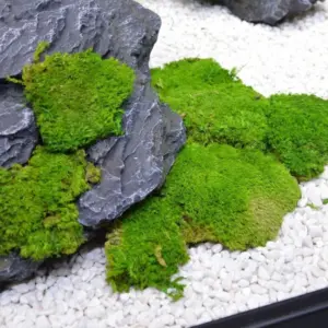 Artificial Moss Grass for Crafts and Decor