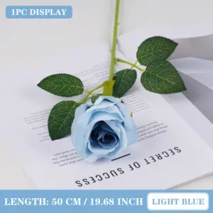 Sf19c3101ed2b49c486ff26ca9dd4b584j