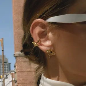 Sf1b62455ed6246edae8cf1ce6ecad654A