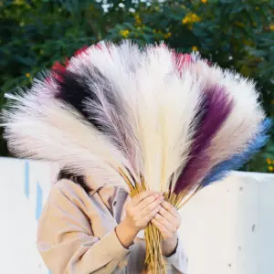 Sf27793d9927d472e9a2b2c3a2bc0f4b5v