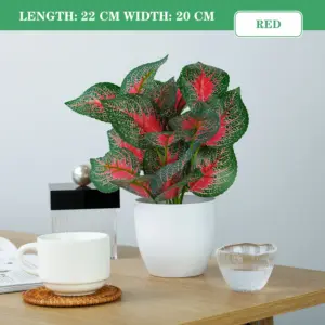 Sf35ee147d54340ea801b760ded3c851eI