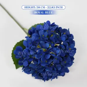 Sf37cf0f83fd34ac7b54ceaabd51ed8f2S 3