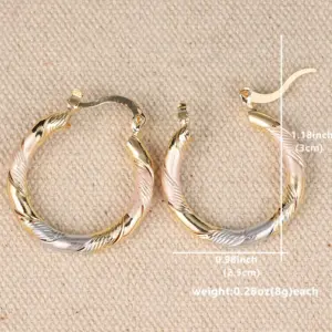 Tricolor Metal Hoop Earrings for Women 10 Sf4522387641b48b59bdd7873e25dc5f3D