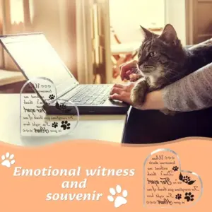 Sf4b60486e4004b79b70c90cf008db7dcJ