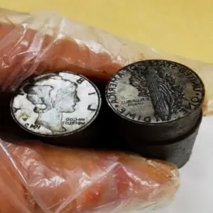 Sf593c60823c34f98b7f56bca1076b64fN