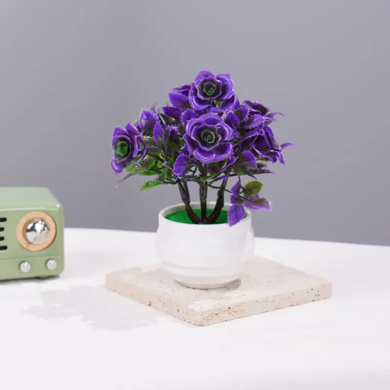 Sf787b9d85de54345bae7c01a2be25d78c