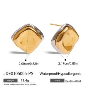 Stainless Steel Two-Tone Flower Earrings 15 Sf808c4816002460fb06b81824f6484f1z