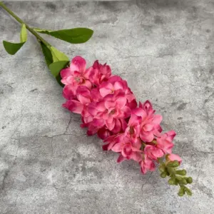 Sf818a2f49a4e46648f014503c58869930