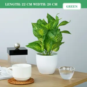 Sf8861aed0b2d4fe8b73eaa6ed78b8c35r