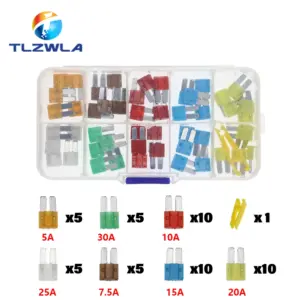 Automotive Blade Fuse Kit 50/100 pcs 18 Sf8f1469418a04c65be268638417f14b6y