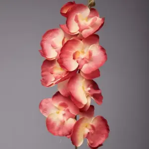 Sf8f45cfb185f4e7a889e1313d8d91c2dx