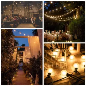 Sf9edcc76b10b4647a8da7fa142d5ccf3v