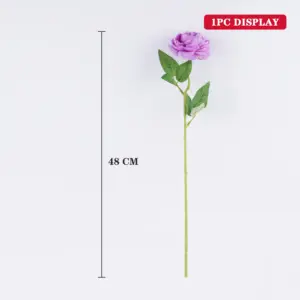 Sfa773e7789da4eae9b196944d813a6cay