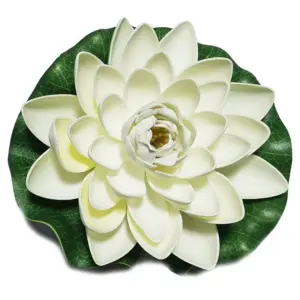 Sfbaf9b29700c463289fd75ed760b1391K