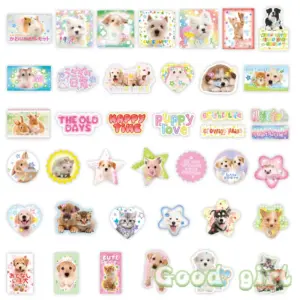 Sfc5c89e0027846008e1b09bb5933aa29N