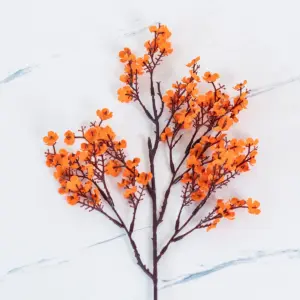 Sfc69e9dc611f461caff4eaeceb4b528a5