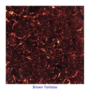 Sfcdaa7f4569341cfb18cedc31c0f5057q