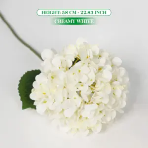 Sfdf020c675934daaa8f68136d9df1390x