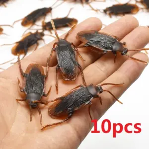 Realistic Plastic Cockroaches for Pranks (Set of 5-50) 18 Sfe724bef601843d1acca70b95f5f29f6T