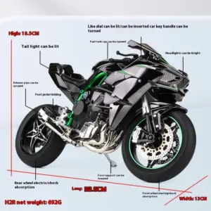 Kawasaki H2R 1:6 Diecast Motorcycle Model 11 Sff2c9f6be40f4da5a1af0dc5502af365I