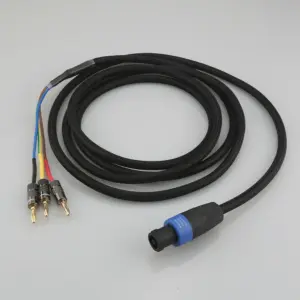 High-Quality 3-Wire Subwoofer Cable with Speakon and Banana Plugs 10 U6513f5b9b7a44b3093b925ccd2a7fbce1