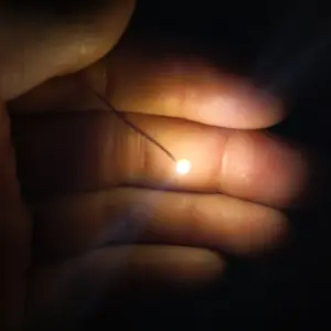 U8a7407f111344b6bb774e0f7e38295a2D