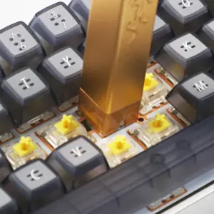 Ub69bca18f2c54e21925f5475a7cd81d1v