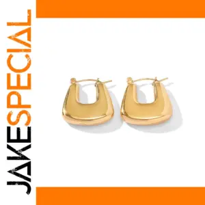 Stainless Steel Geometric Hoop Earrings