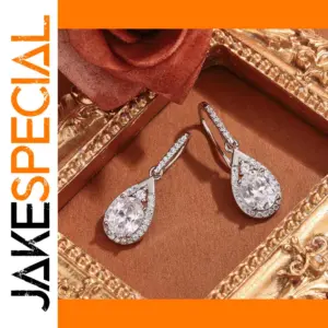 Silver Water Drop Zircon Earrings LL-YS1139