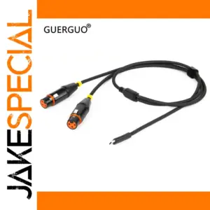 USB C to Dual XLR Audio Cable for Professionals