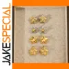 Two-Tone Stainless Steel Star Earrings Collection