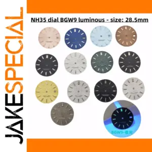 28.5mm Stainless Steel Watch Dial for NH35/NH36