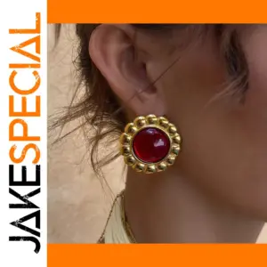 Red Agate Flower Edge Stainless Steel Earrings