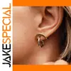 Stainless Steel Two-Tone Earrings JDE0112055-PS