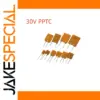 Set of 10 PTC Self-Resettable Fuses 30V