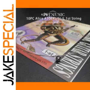 Stainless Steel Guitar Strings Set 10-pack