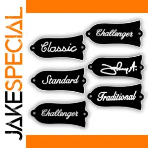 Guitar Pick-Shaped Sticker Set with Text