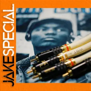 High-Purity RCA Audio Cable Model 888