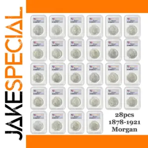 Vintage Copper Morgan Coin Set (28 Pieces)