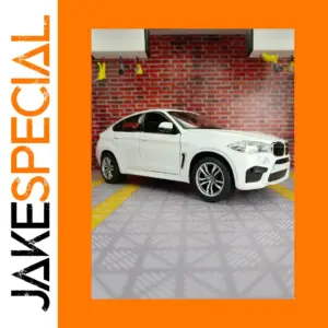 Rastar 1/24 BMW X6M Coupe Diecast Model