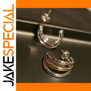 Stainless Steel Dual-Color Geometric Earrings