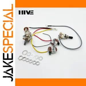 LP SG Electric Guitar Switch Kit 2T2V1J