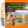 Yellow Weasel Deterrent for Chickens