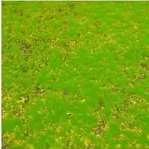 069447ad27a84573939ef856 upscaled