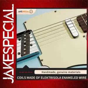 Vintage Alnico Pickup Set for Guitar