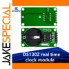 DS1302 RTC Module for DIY Projects