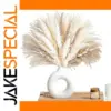 Natural Pampas Grass Boho Decor Collection
