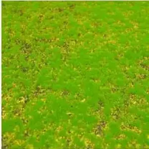 1d507cab9bdb45b0bd0b7985 upscaled