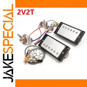 Les Paul-Acompatibale Alnico V Humbucker Set