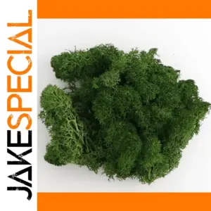 Realistic Artificial Moss and Plants Set